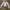 Blouse Long Sleve Press Body photo 1