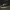 Vans Authentic Black White photo 1