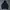 Hoodie Champion basic second photo 1