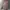 Pop Mart Labubu Monster X Coca Cola Secret photo 1