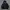 Hoodie Champion small logo ziper second photo 1