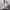 Tas Kate Spade Staci Laptop Tote in the color Nimbus Grey Mu photo 1