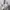 Tas Kate Spade Staci Laptop Tote In The Color Nimbus Grey Mu