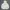 Hoodie Mark Gonzales Second