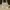 Tas Kate Spade Schuyler Medium Dome Satchel