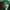 Champion Gorpcore Casual Puffer jacket Pria green photo 4