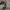 Hoodie Fear Of God ziper second photo 8