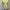 Crop top green neon MAX photo 5