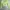 Crop top green neon MAX photo 1