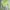 Crop Top Green Neon MAX
