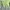Crop top green neon MAX photo 2