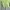 Crop Top Green Neon MAX