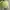 Crop top green neon MAX photo 4