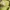Crop top green neon MAX photo 3