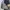 Vintage Ostrich Bag || Y2K  photo 8
