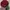 New Era Skater Casual Hat Pria burgundy red photo 2