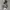 2000's Hoodie Camo Boxy photo 3
