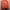 Hoodie Life Work photo 1