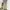 Green olive baggy pants y2k loose fit photo 1