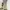 Green Olive Baggy Pants Y2k Loose Fit