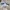 Winbreaker jacket naiki small swosh  photo 3