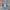 Winbreaker jacket naiki small swosh  photo 1