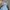 Winbreaker jacket naiki small swosh  photo 5