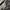 Miss Selfridge Striped Bardot Top photo 4