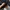The North Face Gorpcore Windbreaker Pria black photo 6