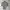 Issey miyake pleats please homme plisse photo 2