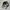 Topi 47’Brand New York Yankess Unstructured Small Logo “NY”  photo 7