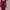 Dress Pressbody Warna Fanta Forever 21 photo 2