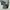 Codegraphy Wide Fit Straight Pants Nylon Relaxed Gorp Core photo 6