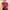 Orchide Noir Asymmetry Top - Atasan Wanita Casual Lengan Pan photo 1