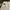 NIKO AND… WIDE FIT CARGO PANTS photo 5