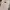 NIKO AND… WIDE FIT CARGO PANTS photo 10