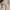 NIKO AND… WIDE FIT CARGO PANTS photo 6