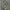 Camouflage Cargo Hollister canada photo 1