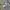 Camouflage Cargo Hollister canada photo 7