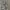 Camouflage Cargo Hollister canada photo 5