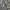 Camouflage Cargo Hollister canada photo 3