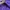 PURPLE NYLON photo 4