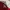 Casual Mini skirt Wanita red photo 3