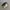 MIZUNO WAVE STEALTH 3 SECOND 42  photo 1