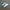 ADIDAS STAN SMITH VELCRO SECOND 42  photo 1