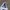 ADIDAS SUPERSTAR WHITE BLACK SECOND 38 photo 7