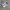ADIDAS SUPERSTAR WHITE BLACK SECOND 38 photo 2