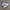 ADIDAS SUPERSTAR WHITE BLACK SECOND 38 photo 1
