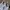 NIKE AIR FORCE 1 TRIPLE WHITE SECOND 38.5 photo 7