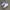 NIKE COURT VISION ALTA SECOND 39  photo 1